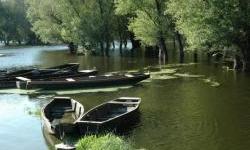 UNDP: Sweden funds innovative solutions for wetland conservation in Serbia