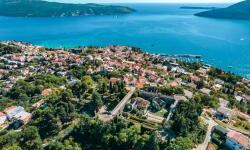 Španjola Will Shine Anew