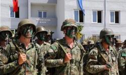 European and Paqes mechanisms, 15 million euro aid for Forcat e Armatosura albatër