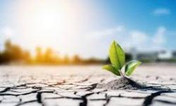 FAO publikon një vlerësim të rëndësishëm për monitorimin e barazisë gjinore në politikat që lidhen me pronësinë e tokës