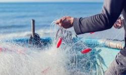 World Bank to Strengthen Montenegro’s Fisheries and Agrifood Sector