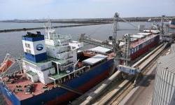 Grain Awaits Transport to the Coast: Exporters Reroute Logistics Due to Shelling of Seaports 