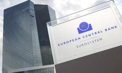 The ECB granted the National Bank permanent access to EUREP - an advanced repo line with the maximum capacity of Euro 50 billion