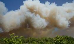 Solidarity in action: EU sends urgent support to Serbia as wildfires intensify