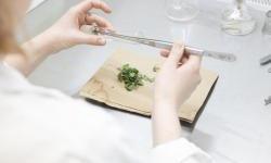 Hrvatskim i slovenskim inovatorima na raspolaganju 49 milijuna eura potpora