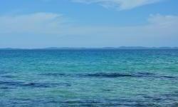 Kreće hrvatsko - talijanski projekt istraživanja livada morskih cvjetnica!