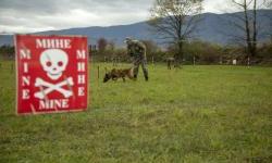 EU remains committed to supporting the goal of a mine-free Bosnia and Herzegovina